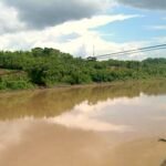 Pencemaran Sungai Terjadi di Sungai Bengawan Solo Bojonegoro, Pemkab Lakukan Penanganan Cepat