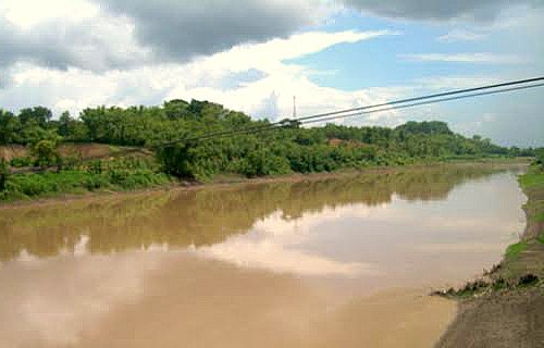 Sungai bojonegoro tercemar limbah