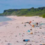 15 Tantangan Lingkungan Terbesar yang Harus Kita Hadapi Sekaran