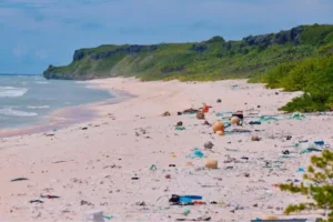 Tantangan lingkungan 2025