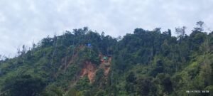 Penertiban tambang